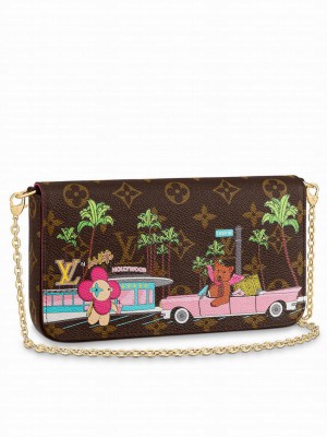 Louis Vuitton Felicie Pochette M80859 Brown