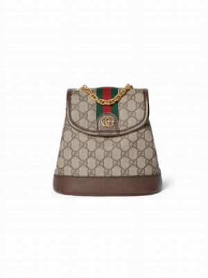 Gucci OPHIDIA MINI BACKPACK 795221 Brown