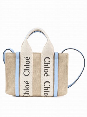 Chloe Mini Woody Tote Bag Blue