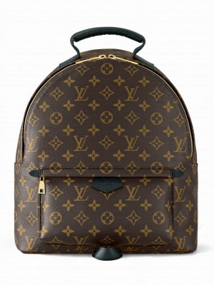 Louis Vuitton Palm Springs MM M44874 Brown