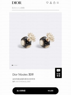 Chanel Earrings AB8233 2024
