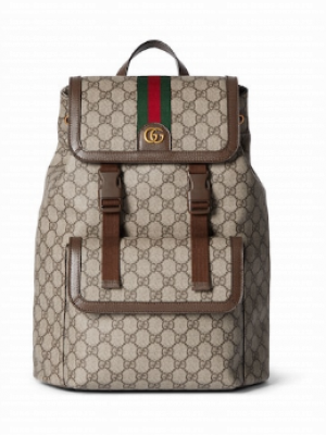 GUCCI AOPHIDIA SMALL GG BACKPACK 792114 Brown