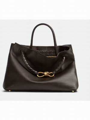 Bottega Veneta Andiamo Silky calfskin 810214  Fondant