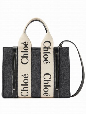 Chloe Small Woody Tote Bag With Strap Gray