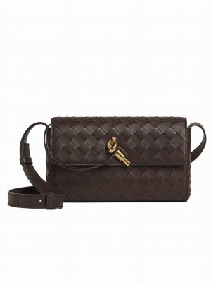 Bottega Veneta Mini Andiamo Cross-Body Bag Dark Coffee