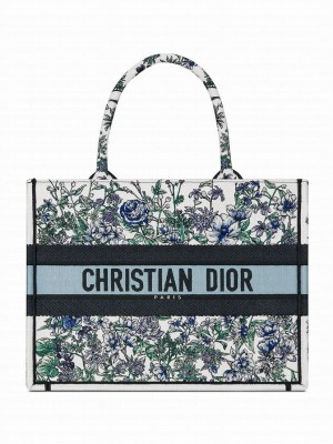 Christian Dior Medium Dior Book Tote Blue