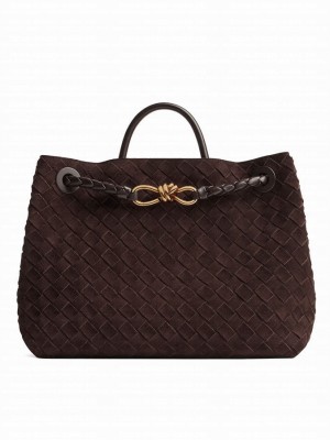 Bottega Veneta Medium Andiamo Dark Coffee