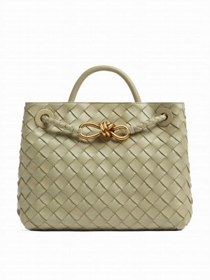 Bottega Veneta Small Andiamo Green