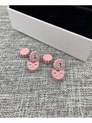 Bottega Veneta Earrings 014