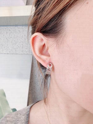 Bottega Veneta Earrings 011