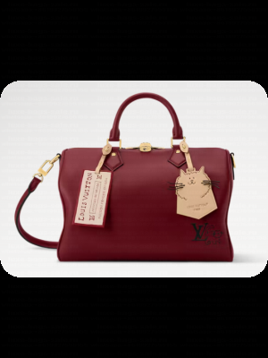 Louis Vuitton Speedy Soft 30 M25766 Plum