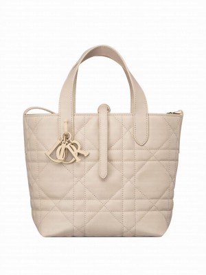 Christian Dior Small Dior Toujours Vertical Tote Bag Apricot