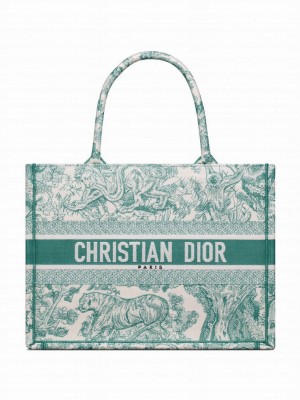 Christian Dior Medium Dioriviera Dior Book Tote Green