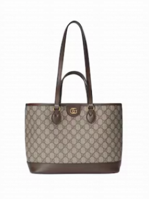 GUCCI OPHIDIA GG MINI TOTE BAG 765043 brown