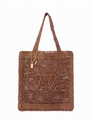 Chloe Summer Banana Tote Bag In Raffia Coffee