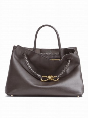Bottega Veneta Medium Andiamo Dark Coffee