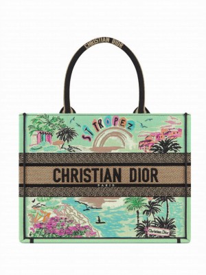 Christian Dior Souvenir Medium Dior Book Tote Green