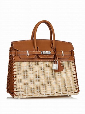 Hermes Birkin 25 Picnic Sellier Coffee
