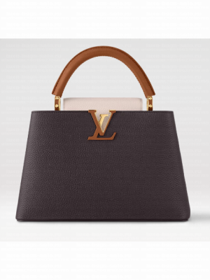 Louis Vuitton Capucines MM M12952 Chocolate & Quartz & Tan