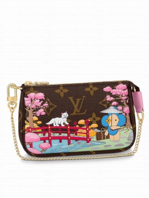 Louis Vuitton Mini Pochette Accessoires M45905 Brown