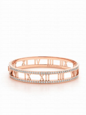 Tiffany Open Hinged Bangle Golden