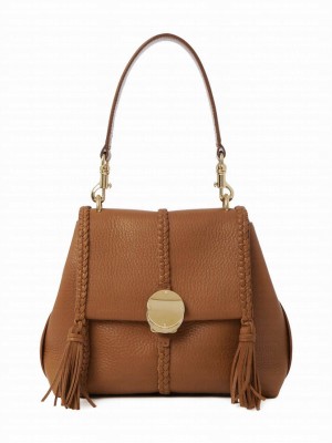 Chloe Penelope Small Soft Shoulder Bag Coffee