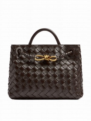 Bottega Veneta Small Andiamo Dark Coffee