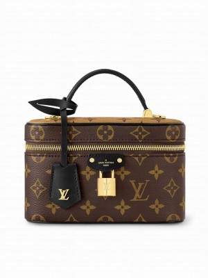 Louis Vuitton Vanity Chain Pouch M47125 Brown