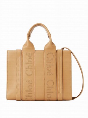 Chloe Small Woody Tote Bag Apricot