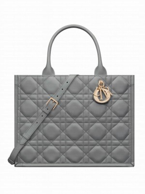 Christian Dior Medium Dior Book Tote Gray