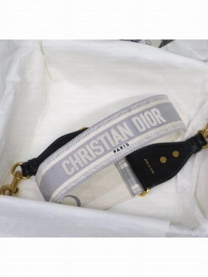 Dior 'Christian Dior' Embroidered Strap Gray 2020 Collection
