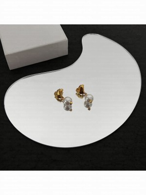 Valentino Earrings V054