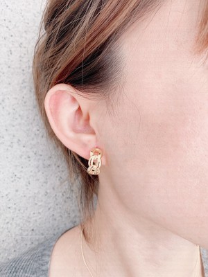Bottega Veneta Earrings 010
