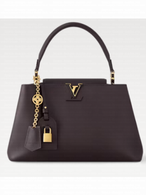 Louis Vuitton Capucines MM Souple M12929 Chocolate