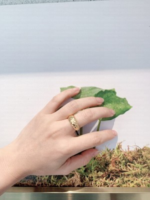 Bottega Veneta Ring 010