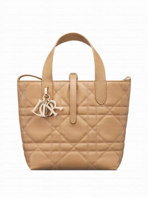 Christian Dior Small Dior Toujours Vertical Tote Bag Coffee