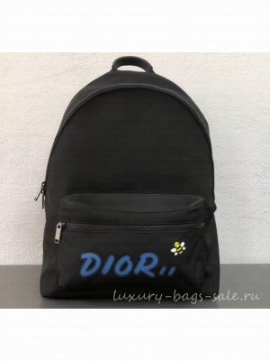 Dior Nylon Bee DIOR X KAWS Rider Backpack Bag Black with Blue Logo 2019