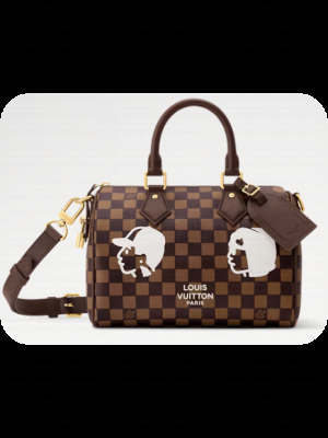 Louis Vuitton Speedy 25 Bandouliere N40772