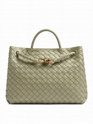 Bottega Veneta Medium Andiamo Green