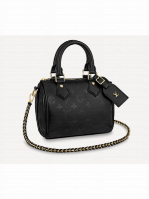 Louis vuitton SPEEDY BB M57111 Black