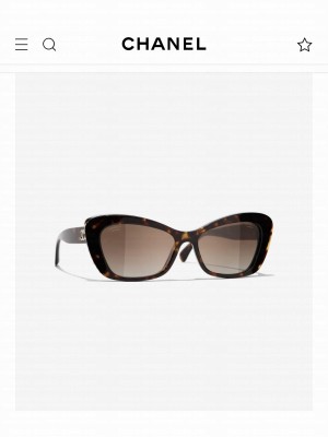 Chanel Sun glasses 2023 CH007