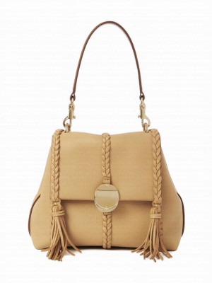 Chloe Penelope Small Soft Shoulder Bag Apricot