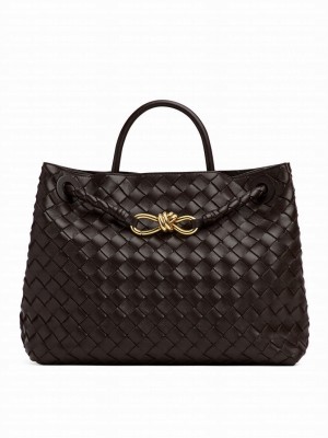Bottega Veneta Medium Andiamo Dark Coffee