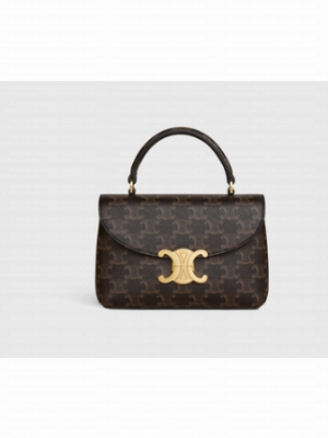 CELINE TEEN NINO BAG IN TRIOMPHE CANVAS 118113 brown