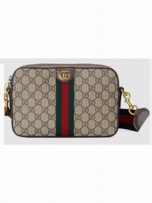 Gucci OPHIDIA SMALL CROSSBODY BAG 699439 Brown