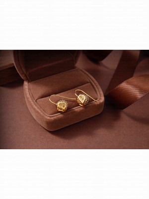 Valentino Earrings V038