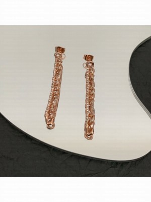 Bottega Veneta Earrings 036