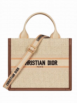Christian Dior Small Dior Book Tote Apricot