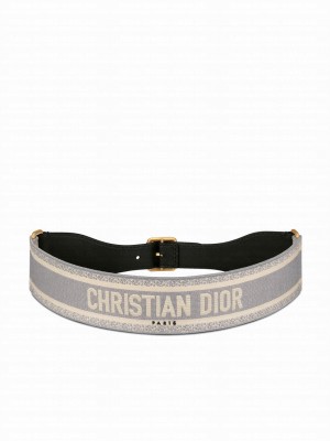 Christian Dior Belt B0001 Gray