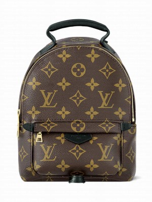 Louis Vuitton Palm Springs Mini M44873 Brown